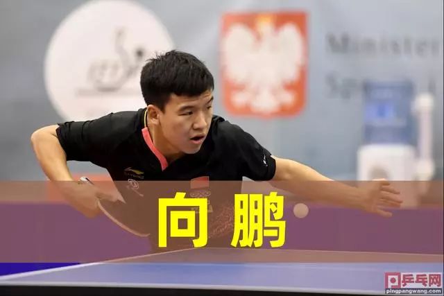 6强席位 6强席位