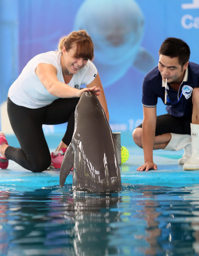 体育冬残奥 体育冬残奥